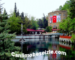 Dinar Suçıkan canli mobese izle
